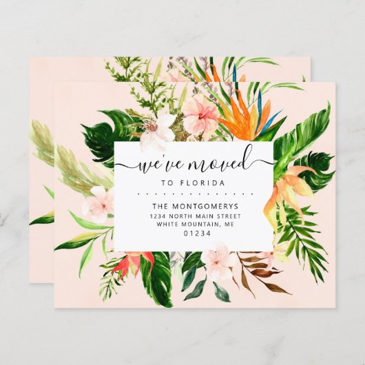 熱帯フローラフロリダ予算動意発表 (正面/裏面)