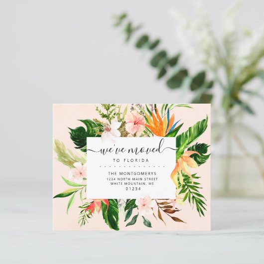 熱帯フローラフロリダ予算動意発表 (スタンド正面)