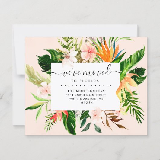 熱帯フローラフロリダ予算動意発表 (正面)