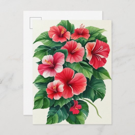 熱帯フローラライトレッドハイビスカス ポストカード (正面/裏面)