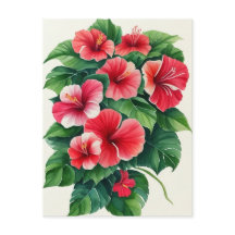 熱帯フローラライトレッドハイビスカス