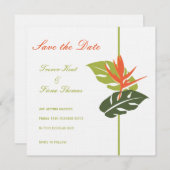 熱帯フローラ保存日 セーブザデート (正面/裏面)