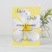 熱帯フローラ、黄色の白いプルメリア結婚、 セーブザデート (スタンド正面)