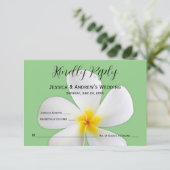 熱帯フローラ、Sageの白いプルメリア、RSVP サンキューカード (スタンド正面)