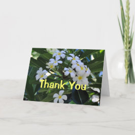 熱帯プルメリアの花のサンキューカード サンキューカード