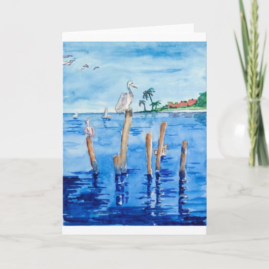 熱帯ペリカン カード (正面)