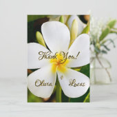 熱帯ホワイトフローラ – 新しい始結婚まり –  (スタンド正面)