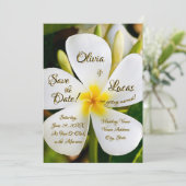 熱帯ホワイトフローラ – 新しい始結婚まり –  招待状 (スタンド正面)