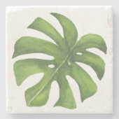 熱帯モンステラ水カラーコースター ストーンコースター (正面)