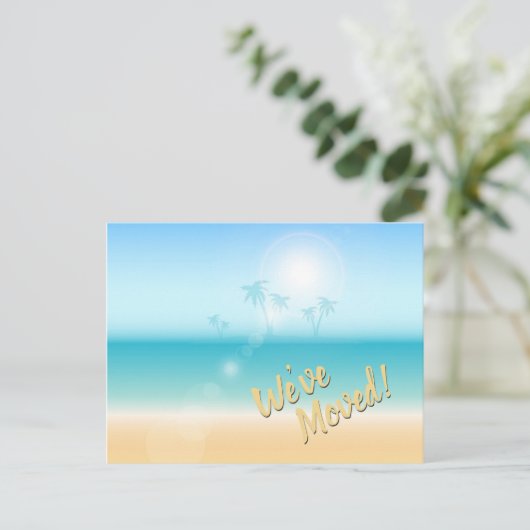 熱帯ヤシの木は新しい住所発表を浜に引き上げます 案内ポストカード (スタンド正面)