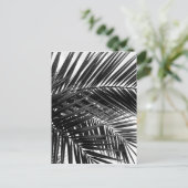 熱帯ヤシ葉の-白黒写真 ポストカード (スタンド正面)