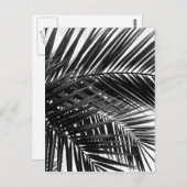 熱帯ヤシ葉の-白黒写真 ポストカード (正面/裏面)