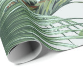 熱帯ヤシ葉，モンステラ，バナナの葉，ジュングル ラッピングペーパー (ロールコーナー)