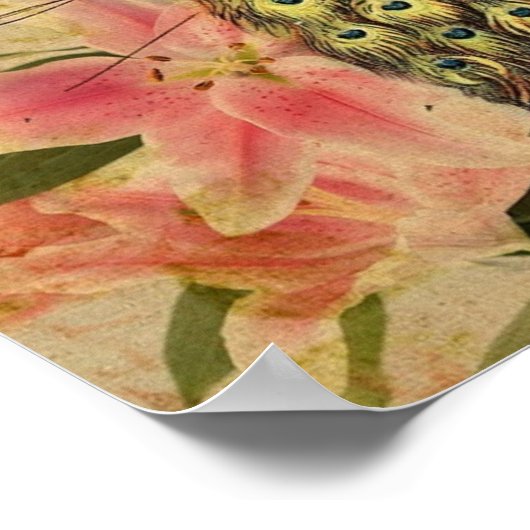 熱帯ユリの花のカバノキヴィンテージ孔雀 ポスター (角)