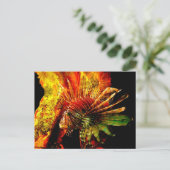 熱帯ライオンフィッシュのフォトアート ポストカード (スタンド正面)