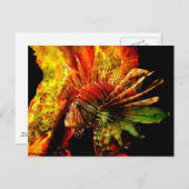 熱帯ライオンフィッシュのフォトアート ポストカード (正面/裏面)