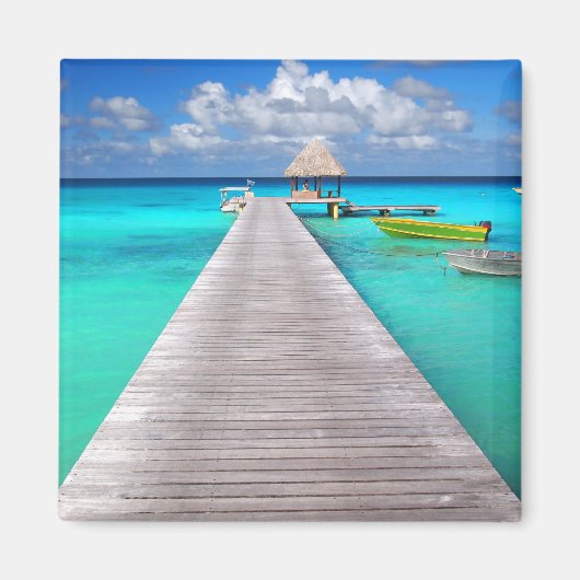 熱帯ラグーンにボートを持つジェットティ マグネット (正面)