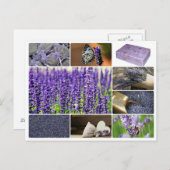 熱帯ラベンダーのコラージュ写真 ポストカード (正面/裏面)