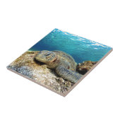 熱帯リラックス海の海亀の海中 タイル (側面)