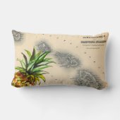 熱帯ヴィンテージのハワイ諸島のパイナップル地図 ランバークッション (裏面)