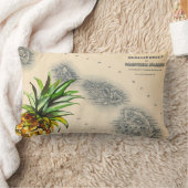 熱帯ヴィンテージのハワイ諸島のパイナップル地図 ランバークッション (ブランケット)