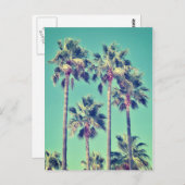 熱帯ヴィンテージヤシの木 ポストカード (正面/裏面)