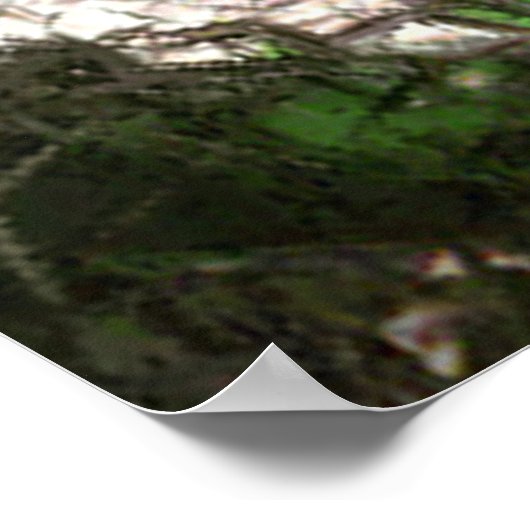 熱帯休暇 ポスター (角)