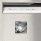 熱帯低気圧カルロス マグネット (インサイチュ (食洗機))