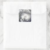 熱帯低気圧ゲル スクエアシール (バッグ)