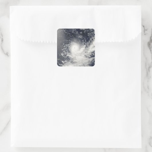 熱帯低気圧ジェラン スクエアシール (バッグ)