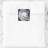 熱帯低気圧ダイアン スクエアシール (バッグ)