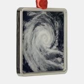 熱帯低気圧ダイアン メタルオーナメント (右)