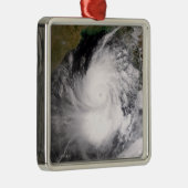 熱帯低気圧ナルギス メタルオーナメント (右)