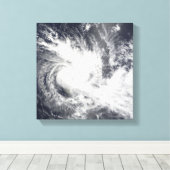 熱帯低気圧湿原 キャンバスプリント (インサイチュ (ウッドフロア))