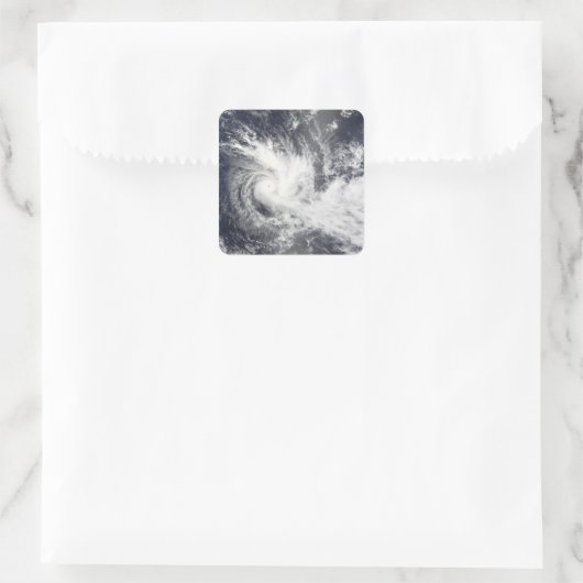 熱帯低気圧湿原 スクエアシール (バッグ)