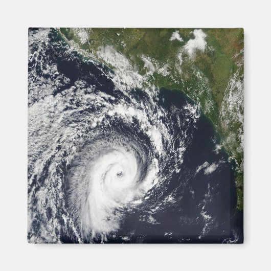 熱帯低気圧 マグネット (正面)