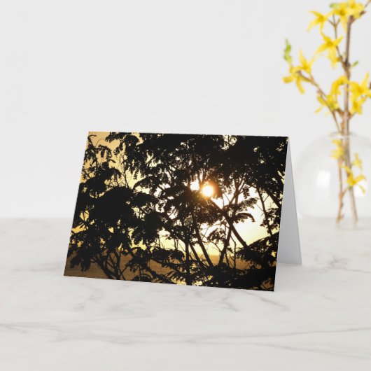 熱帯写真:木の間の夕日 カード (黄色い花)