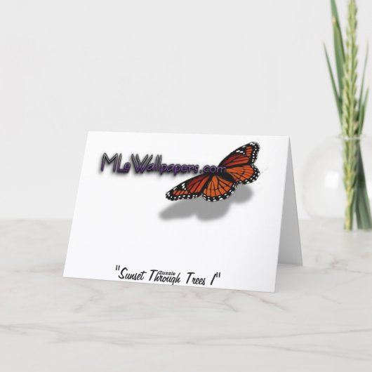 熱帯写真:木の間の夕日 カード (裏面)