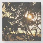 熱帯写真:木の間の夕日 ストーンコースター (正面)
