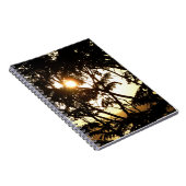 熱帯写真：木の間の夕日 ノートブック (右側)