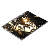 熱帯写真：木の間の夕日 ノートブック (左側)