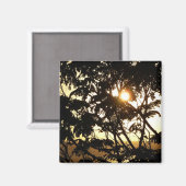 熱帯写真：木の間の夕日 マグネット (正面/裏面)