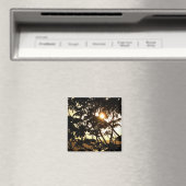 熱帯写真：木の間の夕日 マグネット (インサイチュ (食洗機))