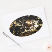 熱帯写真：木の間の夕日 楕円形シール (封筒)