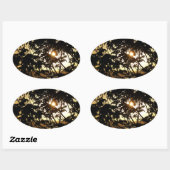 熱帯写真：木の間の夕日 楕円形シール (シート)