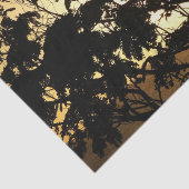 熱帯写真:木の間の夕日 薄葉紙 (詳細)