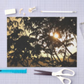 熱帯写真:木の間の夕日 薄葉紙 (クラフト)