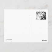 熱帯冬 ポストカード (裏面)