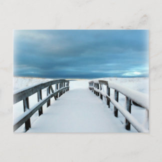 熱帯冬 ポストカード