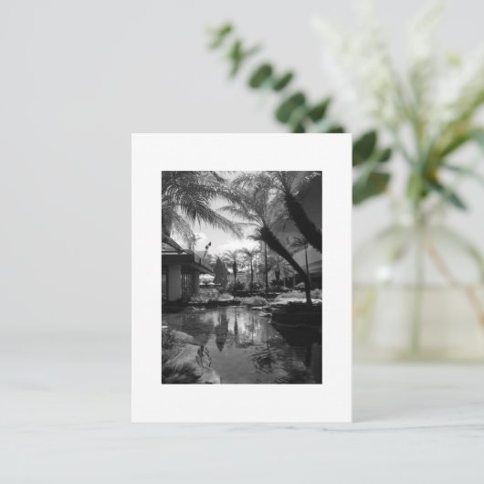 熱帯反射 ポストカード (スタンド正面)